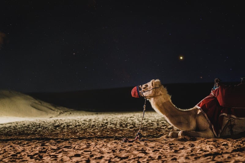 Desert Safari at Sunset